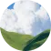 王总
