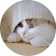 张总